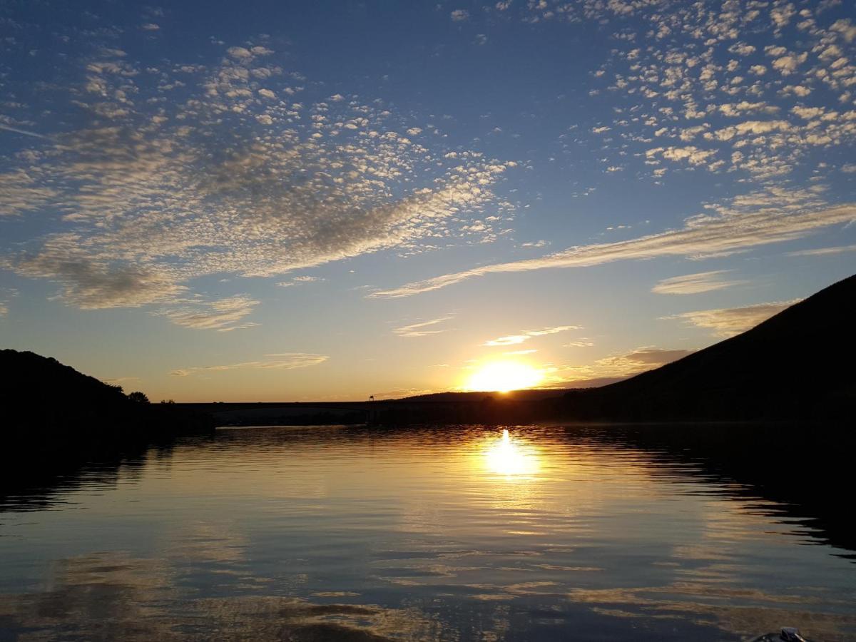 Ferienwohnungen Am Moselbeach Mehring  Exteriör bild